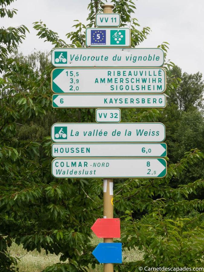 Coeur D'Alsace Colmar Vignobles Ouest Avec Terrasses Villa Wintzenheim Exterior foto
