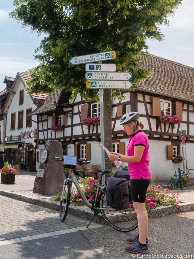 Coeur D'Alsace Colmar Vignobles Ouest Avec Terrasses Villa Wintzenheim Exterior foto