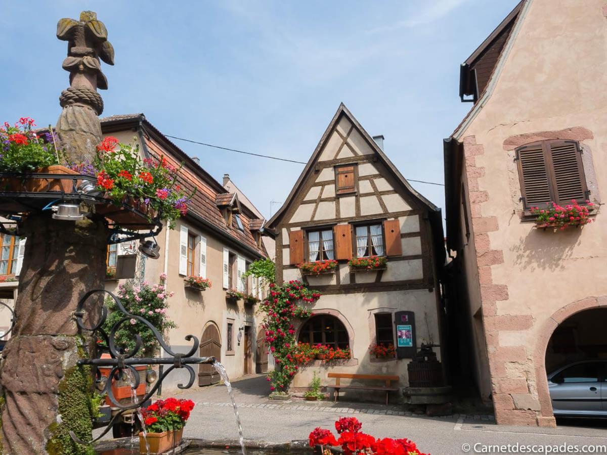 Coeur D'Alsace Colmar Vignobles Ouest Avec Terrasses Villa Wintzenheim Exterior foto