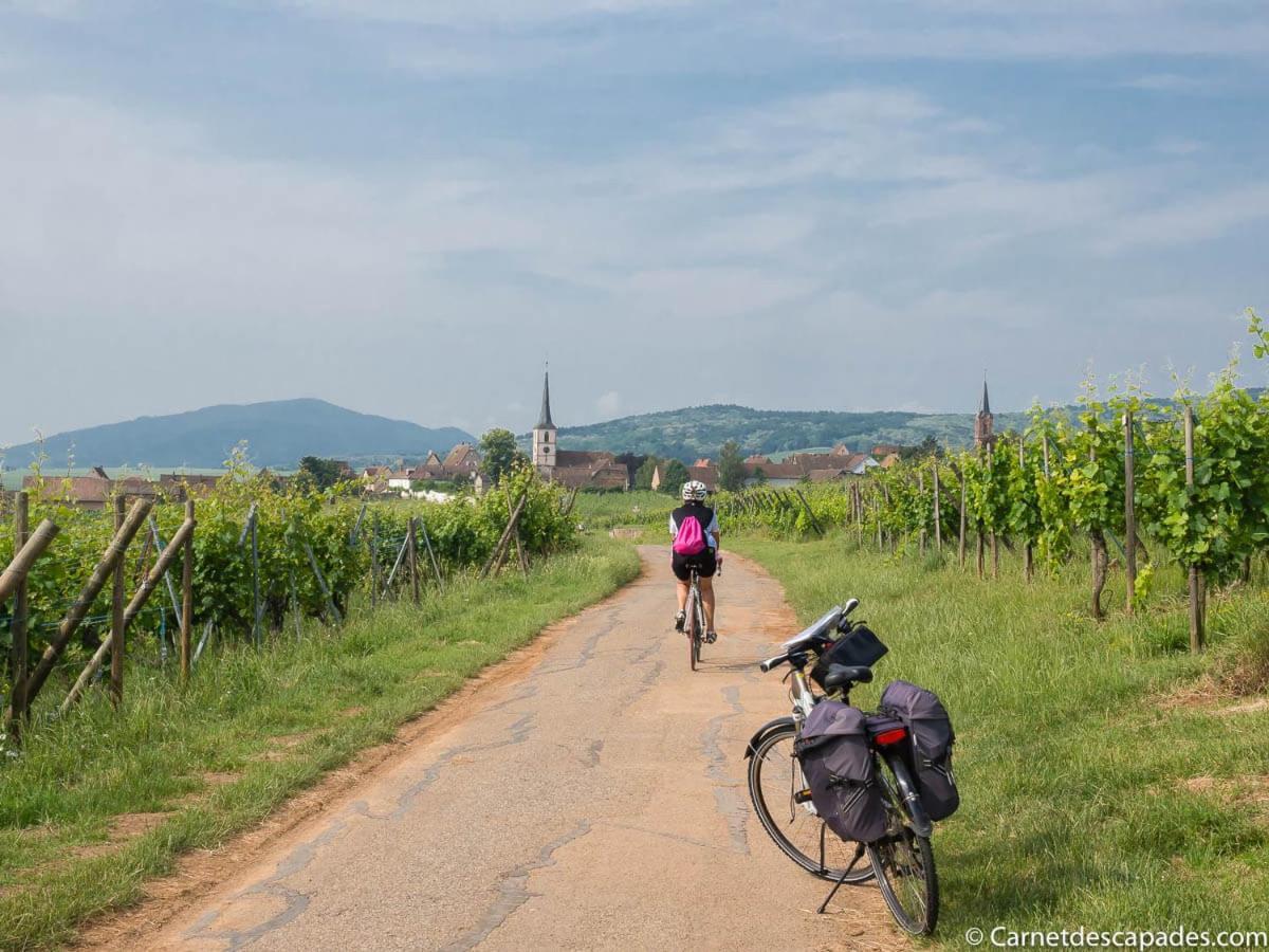 Coeur D'Alsace Colmar Vignobles Ouest Avec Terrasses Villa Wintzenheim Exterior foto