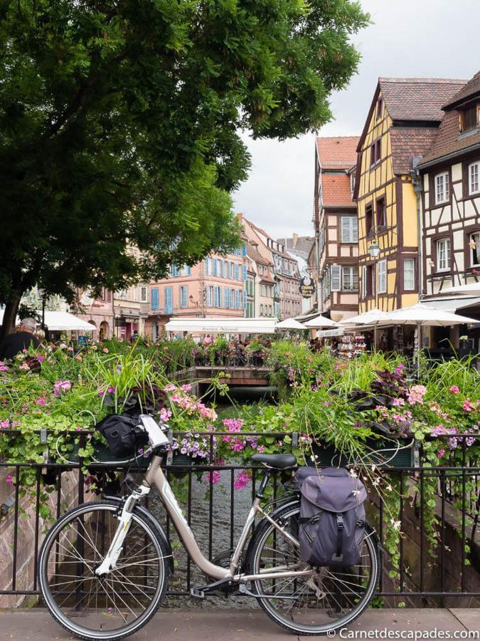 Coeur D'Alsace Colmar Vignobles Ouest Avec Terrasses Villa Wintzenheim Exterior foto