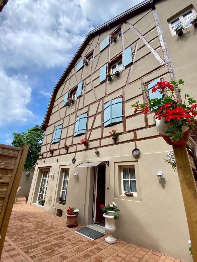 Coeur D'Alsace Colmar Vignobles Ouest Avec Terrasses Villa Wintzenheim Exterior foto