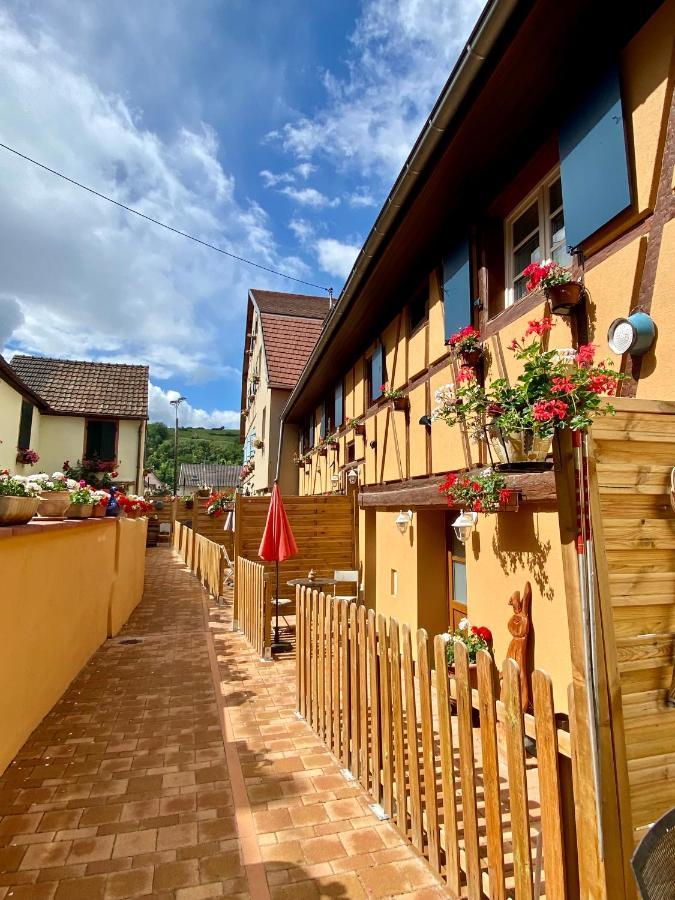 Coeur D'Alsace Colmar Vignobles Ouest Avec Terrasses Villa Wintzenheim Exterior foto