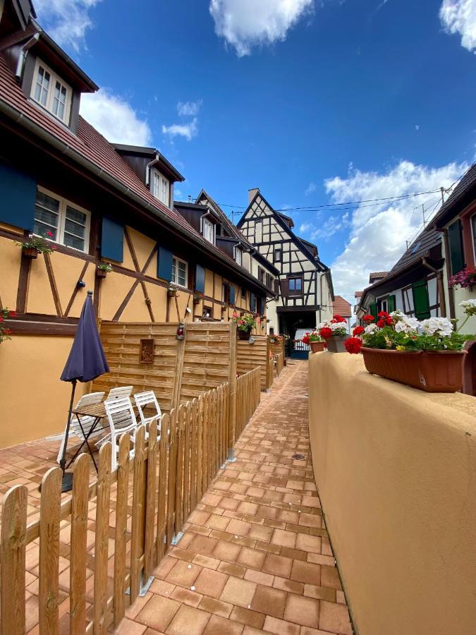 Coeur D'Alsace Colmar Vignobles Ouest Avec Terrasses Villa Wintzenheim Exterior foto