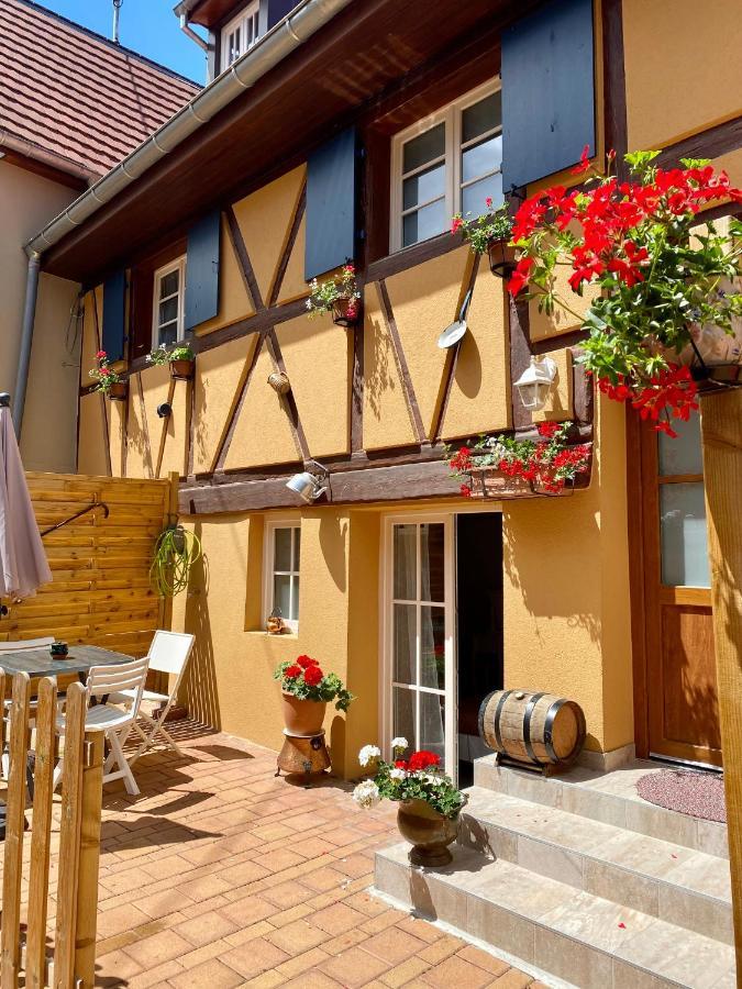 Coeur D'Alsace Colmar Vignobles Ouest Avec Terrasses Villa Wintzenheim Exterior foto