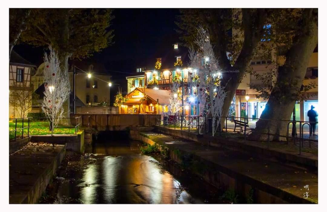 Coeur D'Alsace Colmar Vignobles Ouest Avec Terrasses Villa Wintzenheim Exterior foto