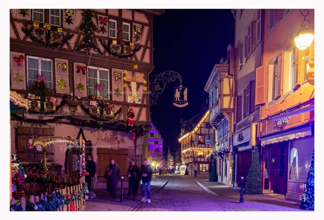 Coeur D'Alsace Colmar Vignobles Ouest Avec Terrasses Villa Wintzenheim Exterior foto