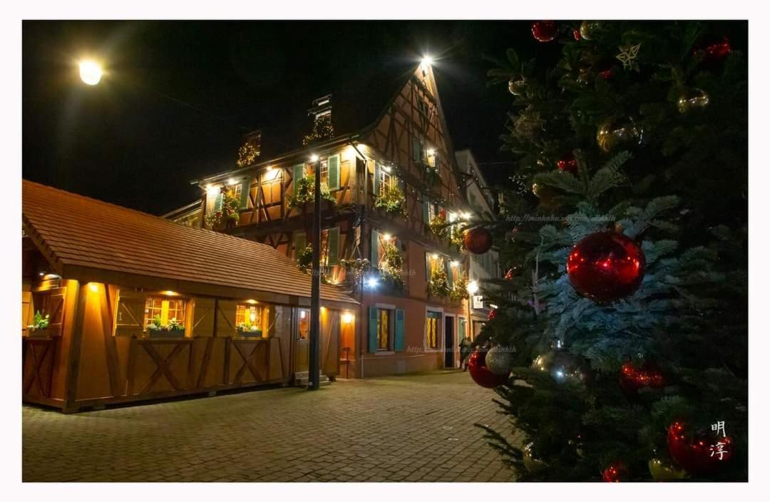 Coeur D'Alsace Colmar Vignobles Ouest Avec Terrasses Villa Wintzenheim Exterior foto