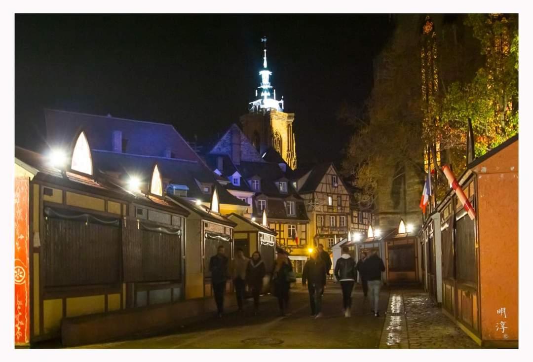 Coeur D'Alsace Colmar Vignobles Ouest Avec Terrasses Villa Wintzenheim Exterior foto